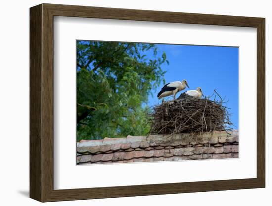 Cozy Nest-Philippe Sainte-Laudy-Framed Photographic Print