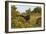 CQ2R6880Cape Buffalo-Bob Langrish-Framed Giclee Print