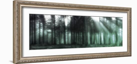 Cqljdaln-Viviane Fedieu Daniel-Framed Photographic Print