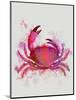 Crab 1 Pink Rainbow Splash-Fab Funky-Mounted Art Print