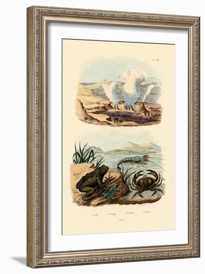 Crab, 1833-39-null-Framed Giclee Print