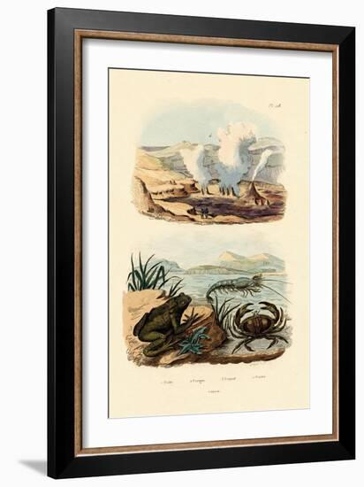 Crab, 1833-39-null-Framed Giclee Print