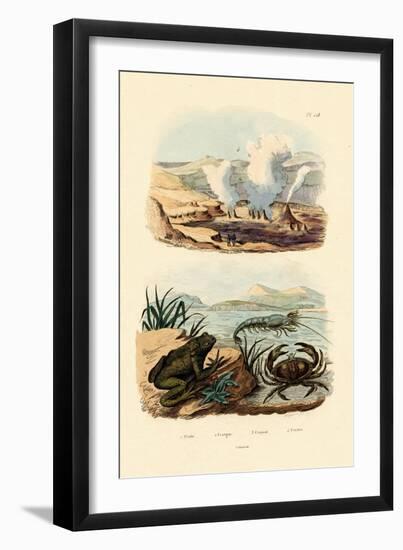 Crab, 1833-39-null-Framed Giclee Print