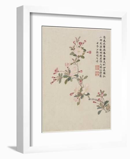 Crab-Apple Blossom from a Flower Album of Ten Leaves, 1656-Shengmo Xiang-Framed Giclee Print