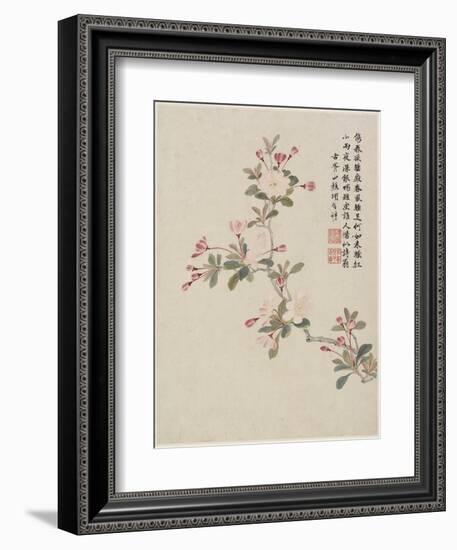 Crab-Apple Blossom from a Flower Album of Ten Leaves, 1656-Shengmo Xiang-Framed Giclee Print