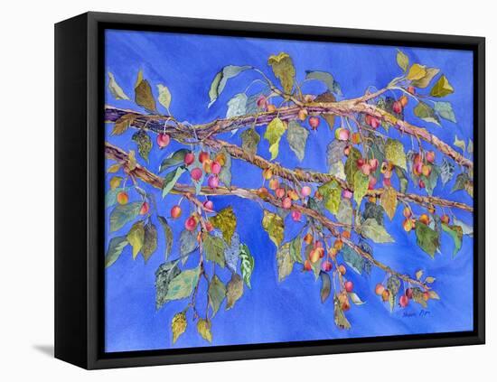 Crab Apple III-Sharon Pitts-Framed Premier Image Canvas