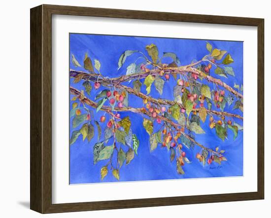 Crab Apple III-Sharon Pitts-Framed Giclee Print