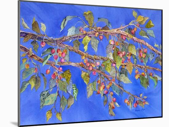 Crab Apple III-Sharon Pitts-Mounted Giclee Print