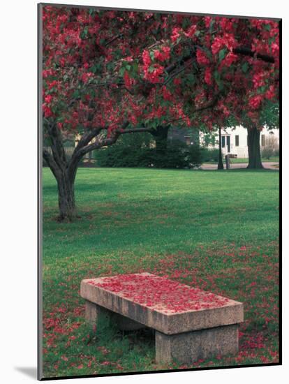 Crab Apple Trees in Prescott Park, New Hampshire, USA-Jerry & Marcy Monkman-Mounted Photographic Print