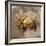 Crab at Seaside-Clive Nolan-Framed Photographic Print