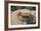 Crab at Seaside-Clive Nolan-Framed Photographic Print