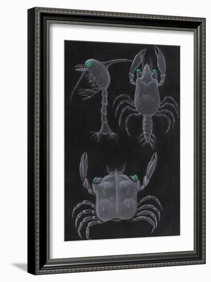 Crab Development-Philip Henry Gosse-Framed Giclee Print