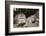 Crab-Eating Macaque or Long-Tailed Macaque (Macaca Fascicularis), Bali, Indonesia-Reinhard Dirscherl-Framed Photographic Print