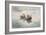 Crab Fishing (W/C over Graphite on Paper)-Winslow Homer-Framed Giclee Print