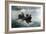 Crab Fishing-Winslow Homer-Framed Giclee Print