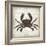 Crab I-Erin Clark-Framed Giclee Print