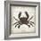 Crab I-Erin Clark-Framed Giclee Print