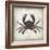 Crab I-Erin Clark-Framed Giclee Print