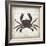 Crab I-Erin Clark-Framed Giclee Print