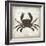 Crab I-Erin Clark-Framed Giclee Print