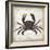 Crab I-Erin Clark-Framed Giclee Print