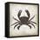 Crab I-Erin Clark-Framed Premier Image Canvas