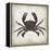 Crab I-Erin Clark-Framed Premier Image Canvas