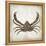 Crab II-Erin Clark-Framed Premier Image Canvas