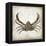 Crab II-Erin Clark-Framed Premier Image Canvas