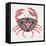 Crab in Pink and Grey-Cat Coquillette-Framed Premier Image Canvas