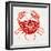 Crab in Red-Cat Coquillette-Framed Giclee Print