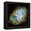 Crab Nebula (M1)-null-Framed Premier Image Canvas