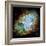 Crab Nebula (M1)-null-Framed Premium Photographic Print