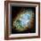 Crab Nebula (M1)-null-Framed Premium Photographic Print