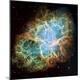 Premium Photographic Print