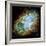 Crab Nebula (M1)-null-Framed Premium Photographic Print