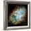 Crab Nebula (M1)-null-Framed Photographic Print