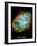 Crab Nebula Text Space Photo Art Poster Print-null-Framed Art Print