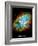 Crab Nebula Text Space Photo Art Poster Print-null-Framed Premium Giclee Print