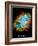 Crab Nebula Text Space Photo Art Poster Print-null-Framed Premium Giclee Print