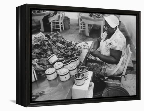 Crab Picker with Lumps and Freeze Dried Crab Meat in Cans-Ed Clark-Framed Premier Image Canvas