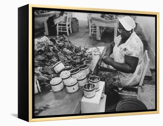 Crab Picker with Lumps and Freeze Dried Crab Meat in Cans-Ed Clark-Framed Premier Image Canvas