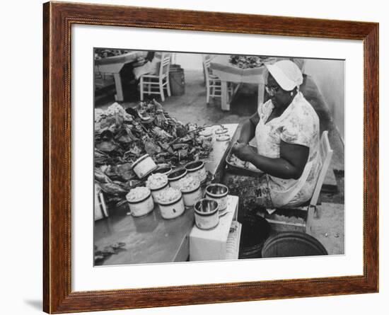 Crab Picker with Lumps and Freeze Dried Crab Meat in Cans-Ed Clark-Framed Photographic Print