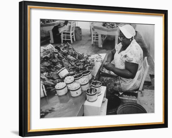 Crab Picker with Lumps and Freeze Dried Crab Meat in Cans-Ed Clark-Framed Photographic Print