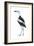 Crab Plover (Dromas Ardeola), Birds-Encyclopaedia Britannica-Framed Art Print