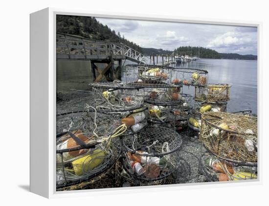 Crab Pots on Shore of Cornet Bay, Whidbey Island, Washington, USA-William Sutton-Framed Premier Image Canvas