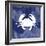 Crab-Erin Clark-Framed Giclee Print