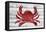 Crab-Design Turnpike-Framed Premier Image Canvas