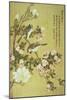 Crabapple, Magnolia and Baitou Birds-Ma Yuanyu-Mounted Giclee Print