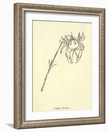 Crabbia Horrida-Edward Lear-Framed Giclee Print